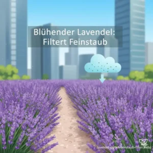 Blühender Lavendel ist eine dekorative Option für anti smog pflanzen garten Konzepte.