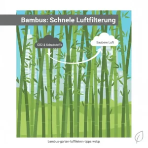 Moderner Bambus als schnell wachsende anti smog pflanzen garten für urbane Räume.